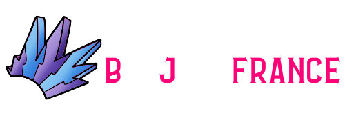 Bonjovifrance